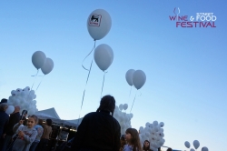 Wine & Street Food Festival